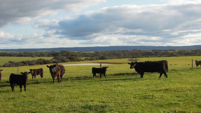 Growth Farms buys on Kangaroo Island from billionaire Kerry Stokes