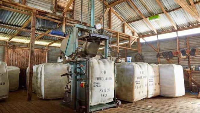 Bungendore's Woodlands for online auction