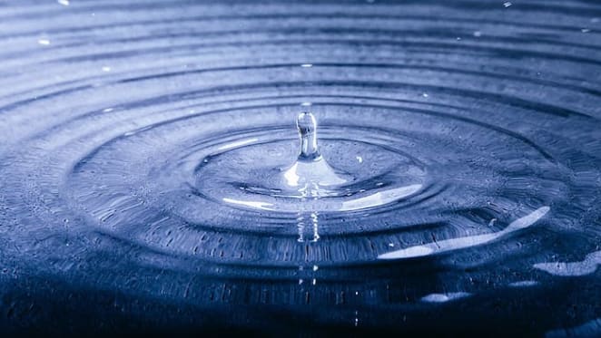 NSW introduces new pecuniary interest disclosure requirements for water
