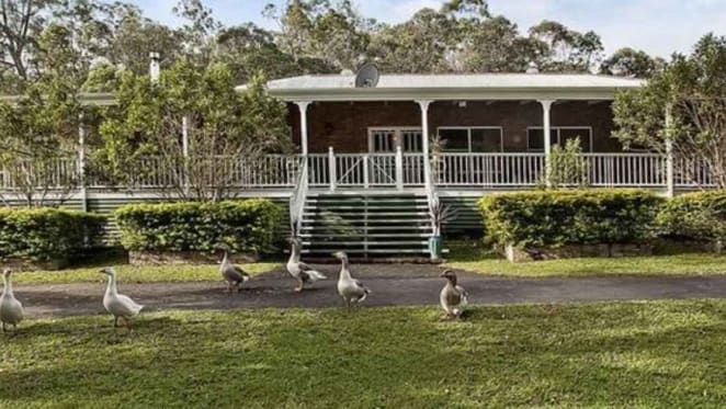 Federal Minister Sussan Ley's prior Gold Coast purchase offer