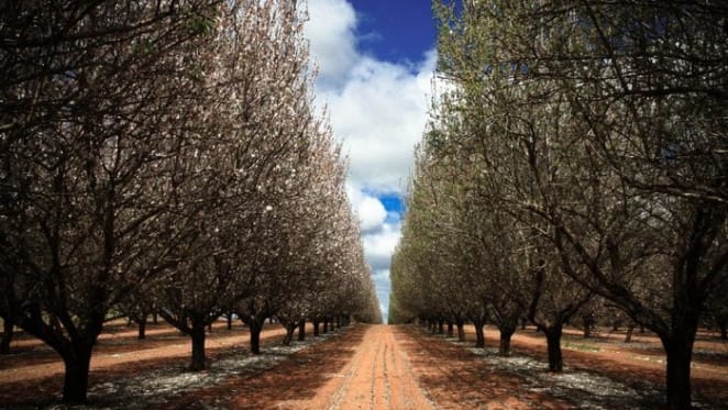 Supply aplenty in Mildura's rural market: HTW