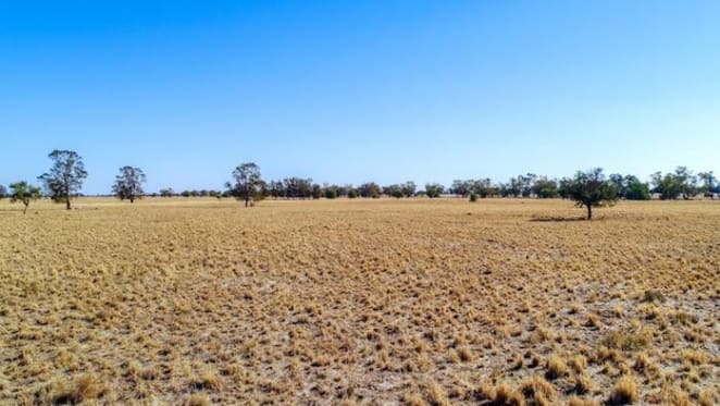 Clyde Cottage, Collie goes under contract