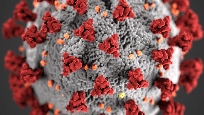 The coronavirus's economic toll in numbers: Guy Debelle