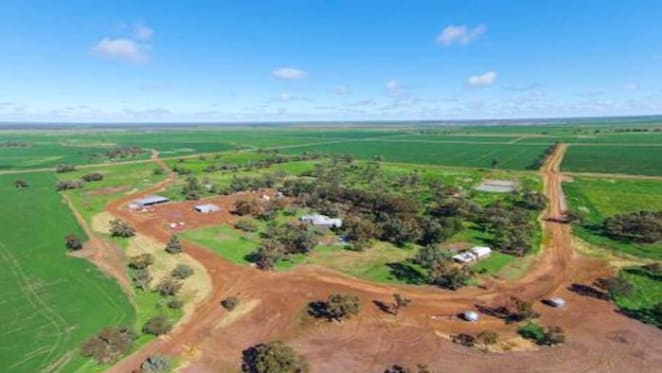 Riverina rural prices up 11.6%: NSW Valuer-General