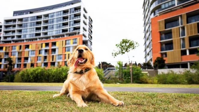 Why you shouldn’t bury your pet in the backyard