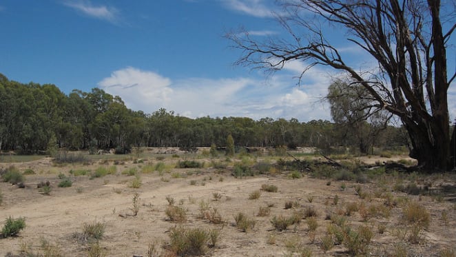 Australia’s drought relief package hits the political spot but misses the bigger point