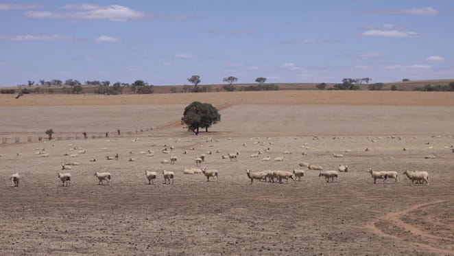 Just because both sides support drought relief, doesn’t mean it’s right: Lin Crase