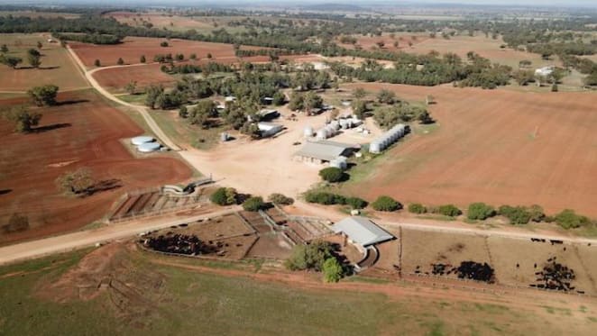 US-based Supermodel Nicole Trunfio cuts ties with hometown Dubbo