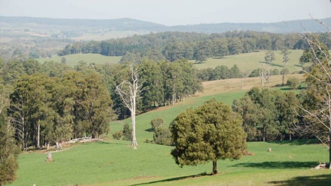 Rural NSW regions with more reliable rainfall attracting buyers: HTW