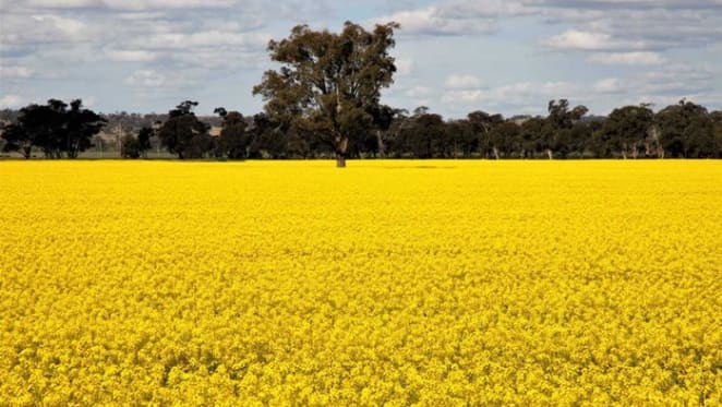 Billionaire Sir Michael Hintze lists blue-ribbon Glaisnock farm