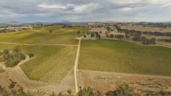 Best's Great Western buys Mount Sugarloaf Vineyard in the Grampians