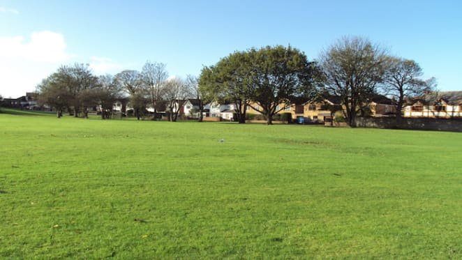 Greenspace-oriented development could make higher density attractive