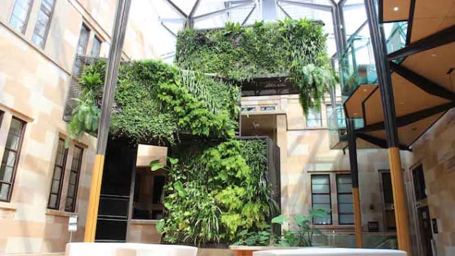 Greenwalls to improve the concentration and wellbeing of university students