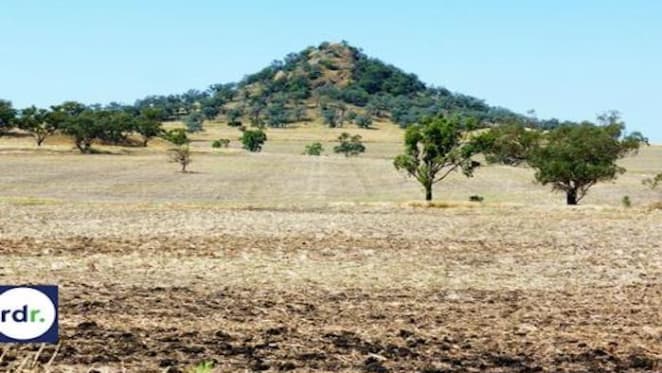 Land value for rural Northerland Tablelands properties increases by 11.4%: NSW Valuer-General
