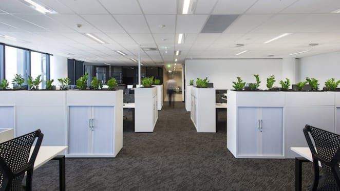 JLL Mascot transitions to new activity-based working office