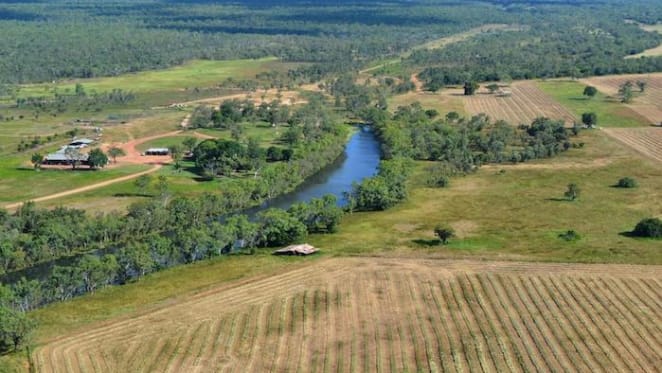 Northern Territory rural market on a positive note: HTW
