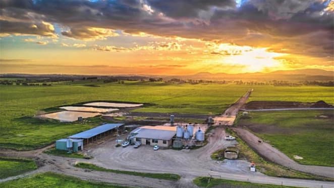Labertouche dairy cow farm sale at $6,650,000