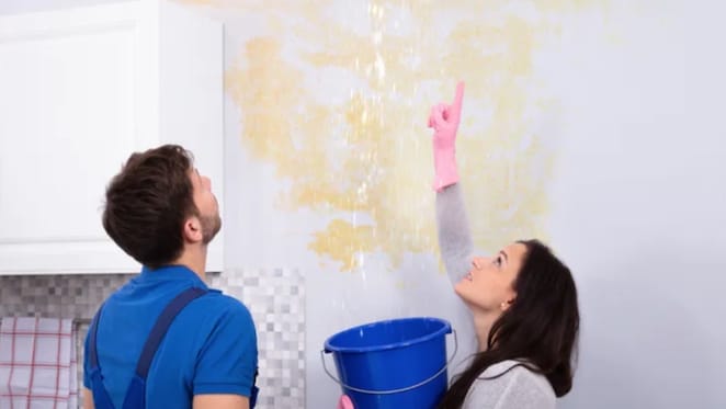 To restore public confidence in apartments, rewrite Australia’s building codes