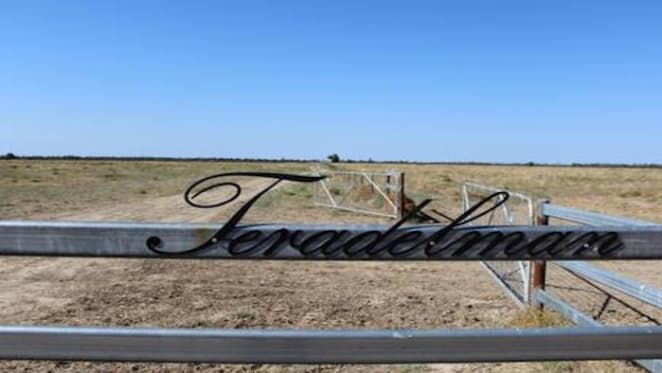 Weather patterns stalling South Queensland's rural market confidence: HTW
