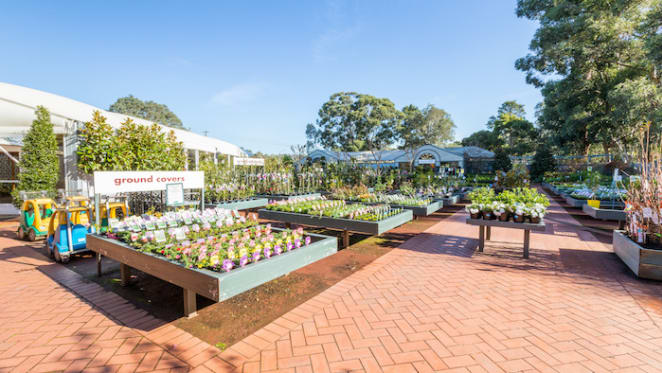 Heidelberg's The Greenery listed for sale