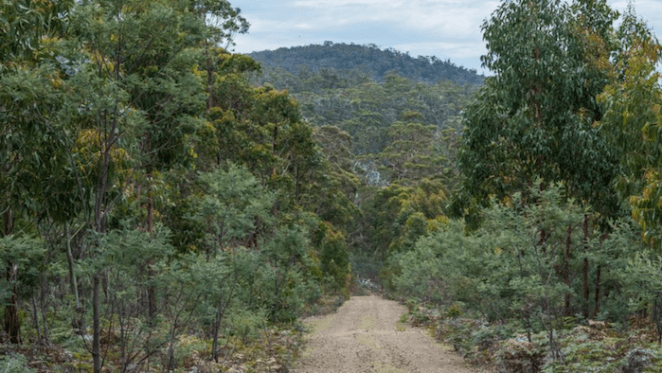 Conservation lots in Nubeena, Tasmania listed