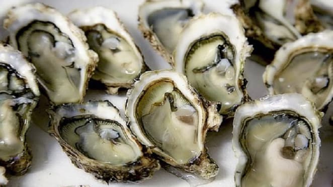 Ah shucks, how bushfires can harm and even kill our delicious oysters
