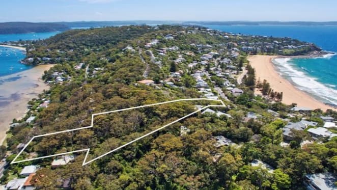 Near three acre compound spread across Palm Beach and Whale Beach for sale