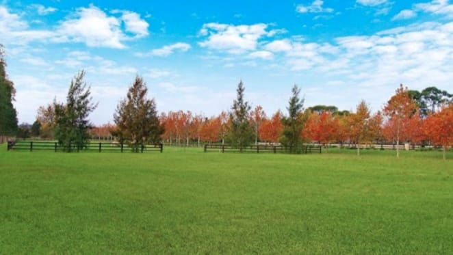 Polo offering in Richmond Lowlands sold by Peter Higgins