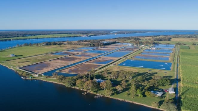 Australia's first prawn farm for sale in Northern NSW