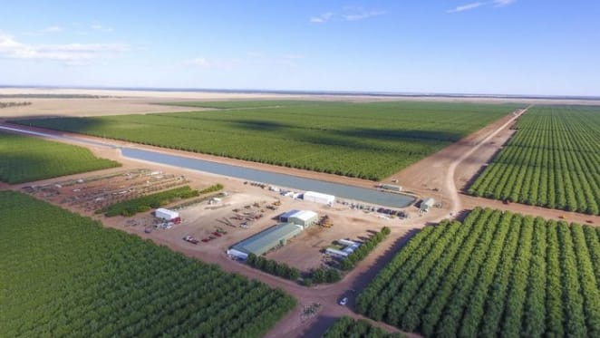 Rural Funds Group accused of running a Ponzi scheme