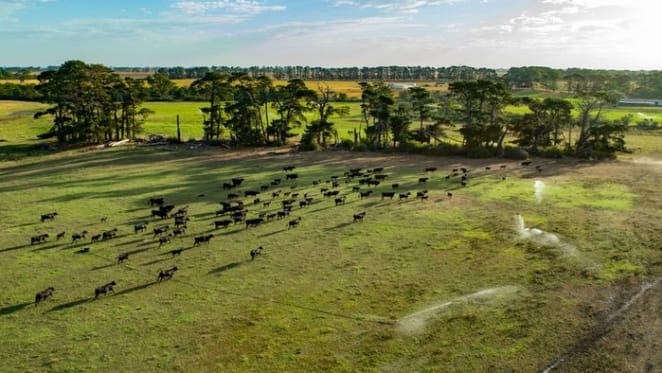 Gippsland's 568 hectare farm Paringa sold