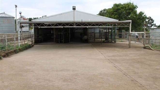 Limited spring 2016 rural sales activity in South West Victoria: HTW