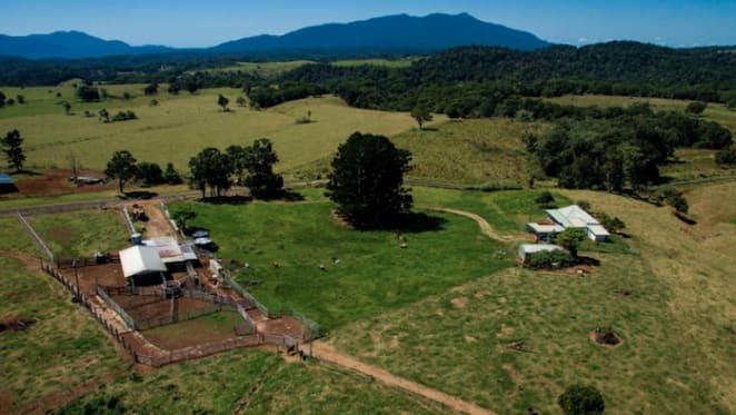 228 ha Malandra district farm offered by mortgagee