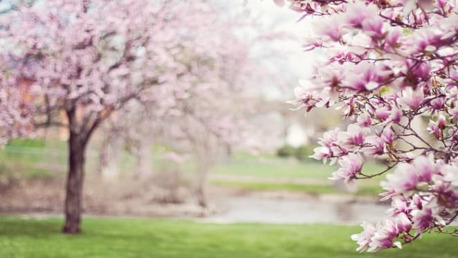 Spring hasn't quite sprung for real estate listings: Tim Lawless