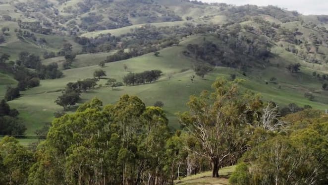 Malcolm and Lucy Turnbull's Scotts Creek farm passes in on vendor bid