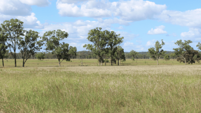 Family held cattle grazing land in Queensland up for auction