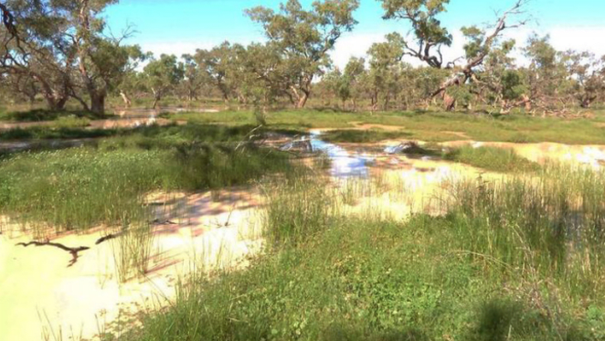 The Darling Downs rural market prices exceed expectations: HTW Rural