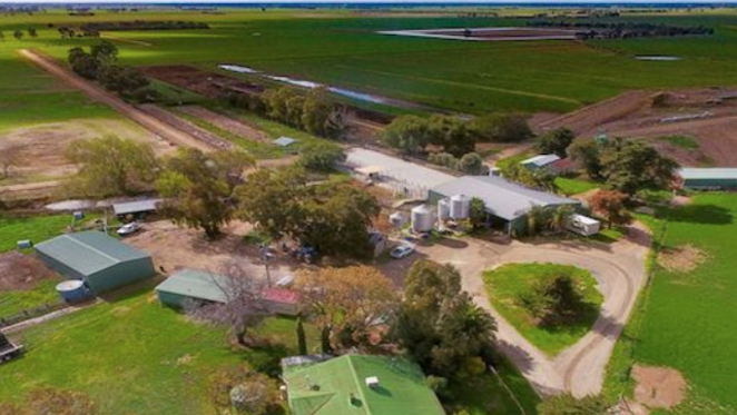 Rural values continue to rise in the Echuca and Deniliquin regions: HTW Rural