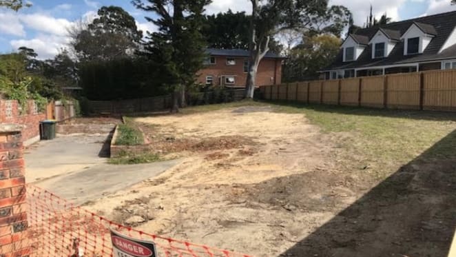 Mitchell Starc and Alyssa Healy buy land parcel