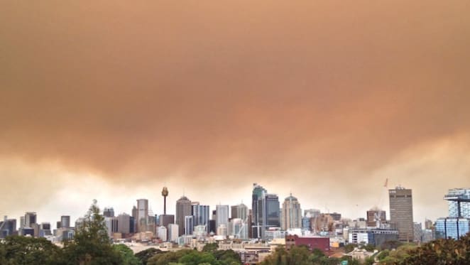 Bushfires and the Australian economy: Oliver's Insights