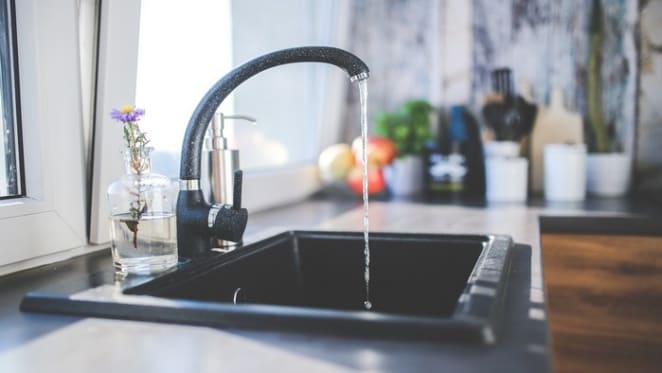 80% of household water goes to waste, we need change: Roberta Ryan