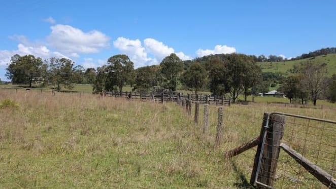 Country music couple Brooke McClymont and Adam Eckersley heading to Mid North Coast