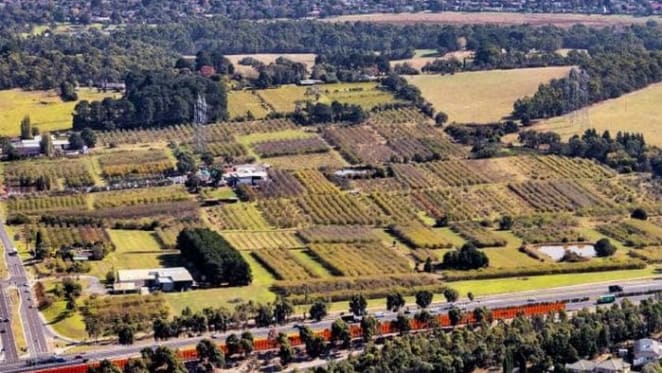 $90 million plus Wantirna South apple orchard holding sold through Savills