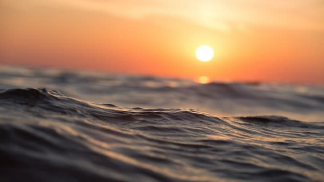 Bumps, Lumps and Waves in the Australian economy: Luci Ellis