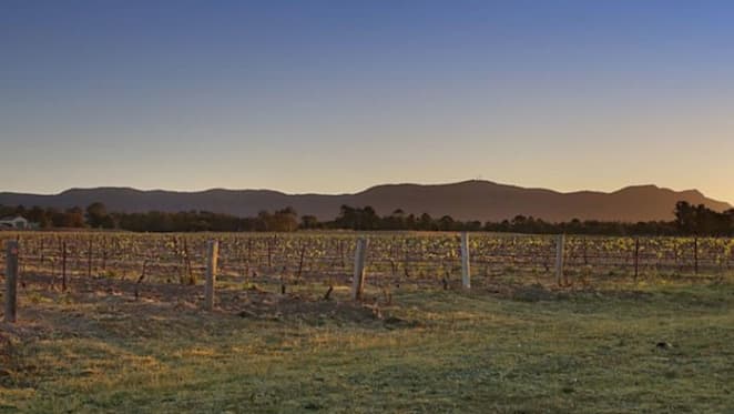 Greg Norman sets sights on new Aussie winery home