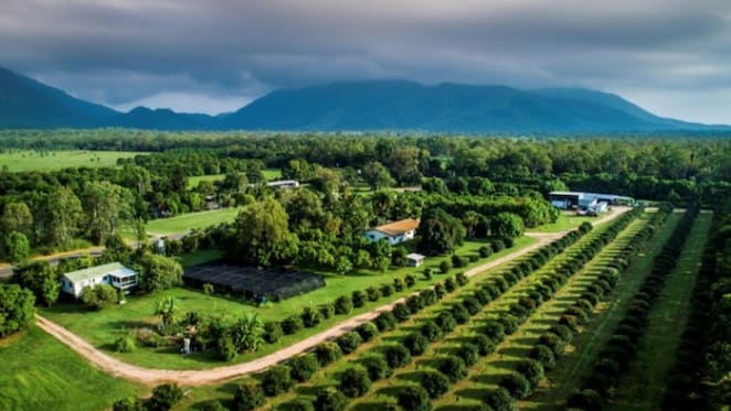World's largest Achacha plantation listed in Queensland