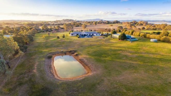 Albury prestige rural lifestyle market segment is thinly traded: HTW residential
