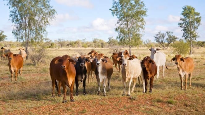 Sir Michael Hintze buys Boggabri farm