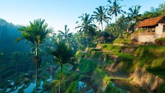 Bali… Bucolic Bliss or Beach Bellini? He Said/She Said