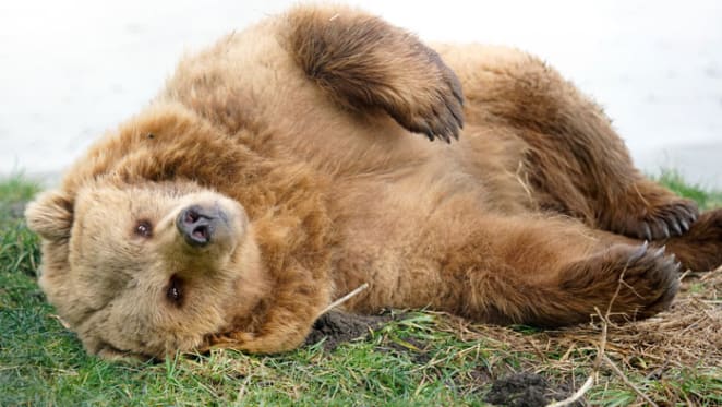 Don't let experts' bear fear stop you from making money: Peter Switzer
